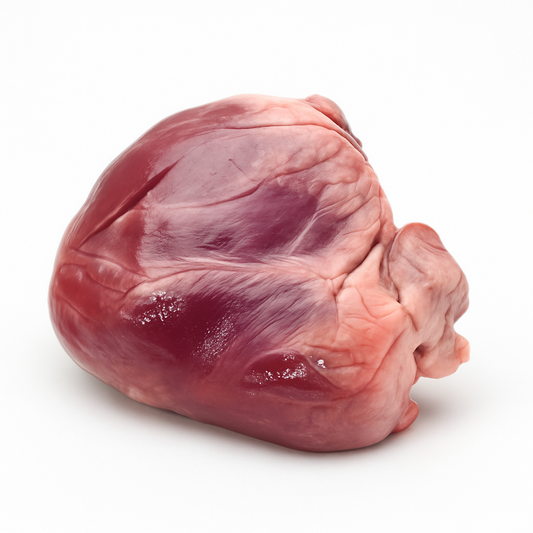 Heart